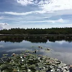 Gaber 82 * Зрече