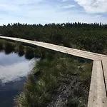 Gaber 82 Зрече