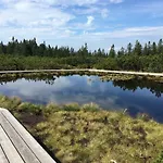 Gaber 82 Зрече