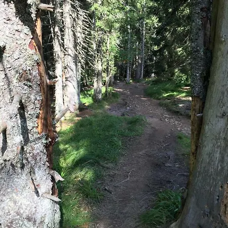 Διαμέρισμα Gaber 82 Zreče