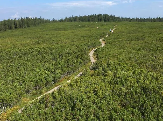 Gaber 82 Apartment Zreče