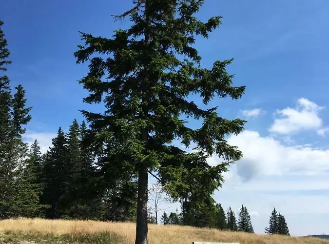 Gaber 82 Appartement *