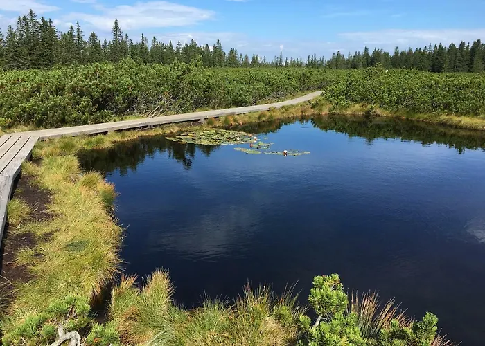 Apartment Gaber 82 Zreče