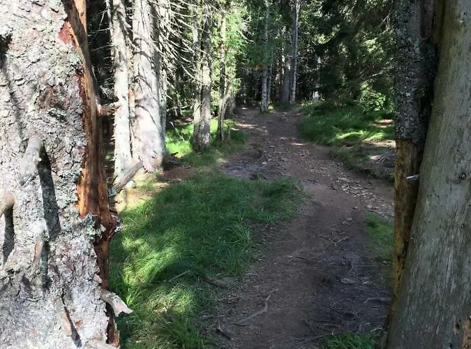 Appartement Gaber 82 Zreče